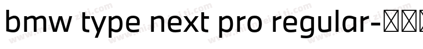 bmw type next pro regular字体转换